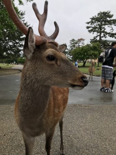 9381bc7d-783d-4e6b-ba19-527a1407d4d4