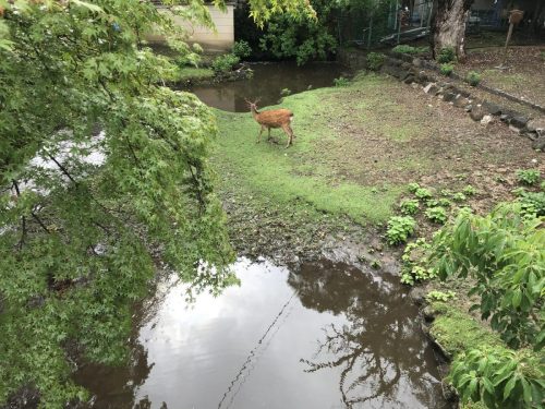 9481395f-72d4-4349-8160-839e18fbc5b7