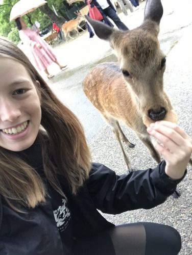 96dd0f21-4e15-4f9f-ab5c-18f198f0c80c