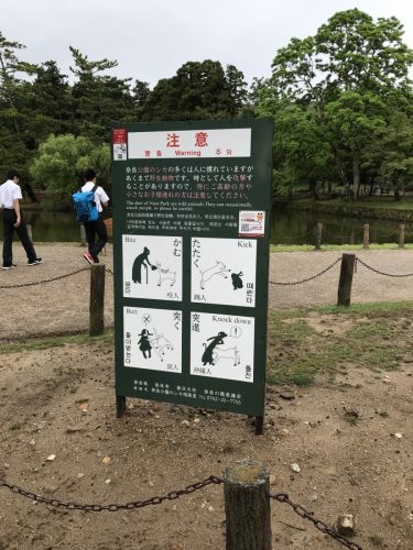 a4308ba8-e0b0-47d8-b53a-1a974f7324e7