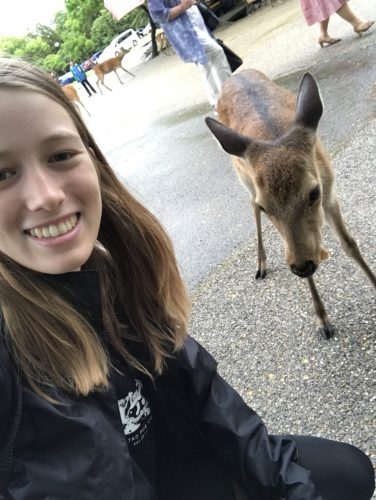 a76191e6-a537-4155-9707-d857d5c62b33