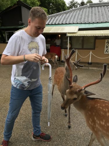 a7f1d9ea-d790-4901-85be-e156c6cf4cc4