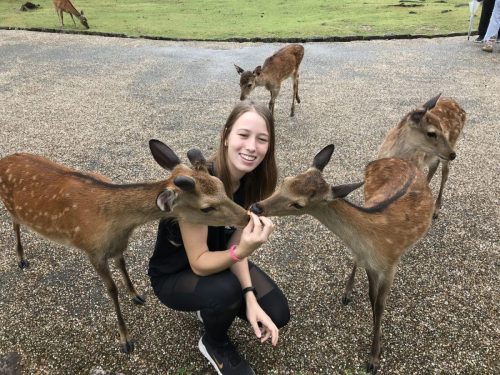 a813c659-16d3-4a4d-8907-2b8621fc9730