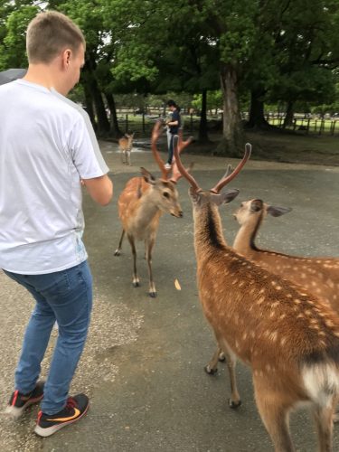 aa1a413c-1ba1-46ec-8ae1-5c235280c082