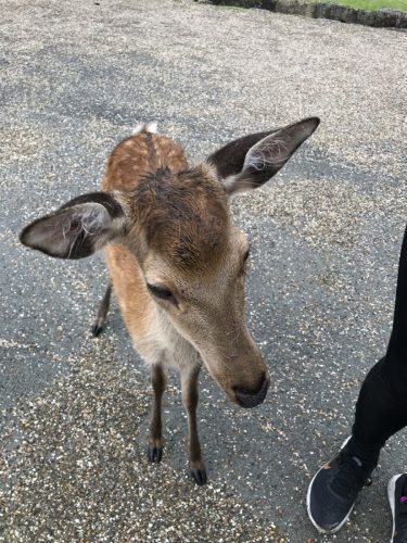 ab743a55-f88e-41fb-8020-ac57d99b919d