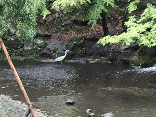 adb6fafd-3d82-465f-b243-af65a2f5113c