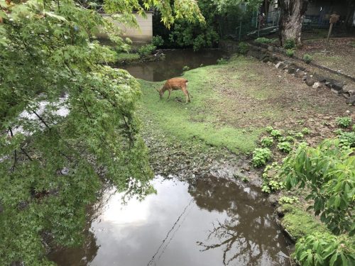 ae67b1b7-d865-4081-8520-78c8e2203f5f