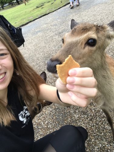 b88e977d-9ba9-405e-9c61-42b4f053f5cc