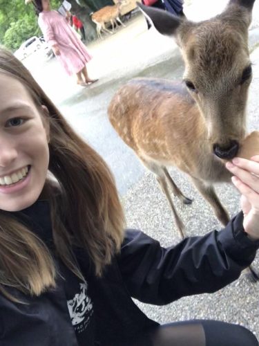 b9b3dda6-1e2c-44d7-b09c-1bc2ee73f0be