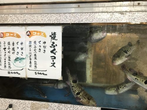 bc28aad7-072b-4113-bc11-00e0e12043c8