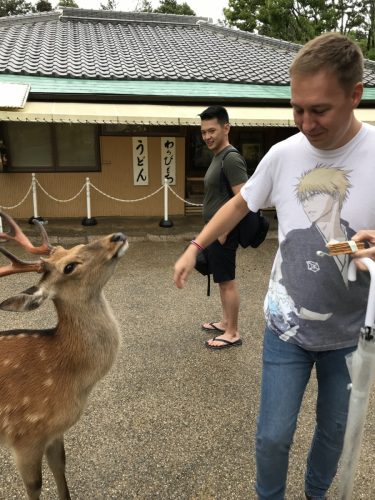 bdd426c6-5020-4d7b-a3ad-5db8c377c279