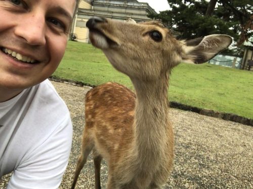 bedc31ff-827a-4691-90a5-6068c91b8005