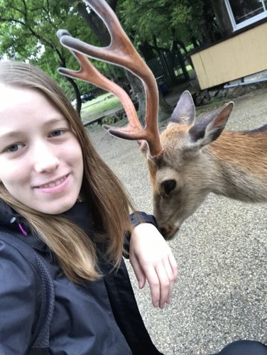 cd743def-e0f0-435b-9b87-f29e07b5ce0c