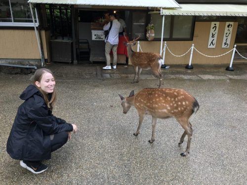 d059d509-25e4-4644-af04-f037d1fe3a17