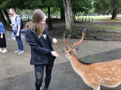 d07b5ecb-40d2-4822-882a-02cdffd97508