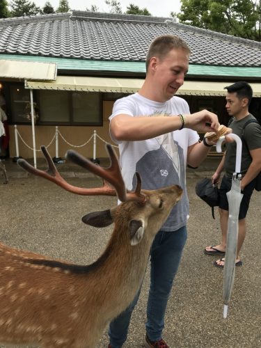 d479563e-7df3-4992-8b62-ddb940ccd142