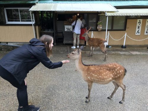 d647a313-bae1-4867-a9a8-4011ee2e7867