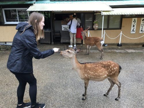 d85ec8db-9a7d-4cc2-b8ca-44e5fa5f7348