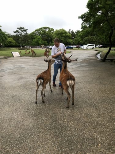 d8f880e4-b379-41bf-b0a5-9f0711b70558