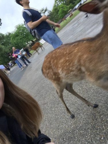 ddacb124-a15c-4320-87c5-789ed9de41ec