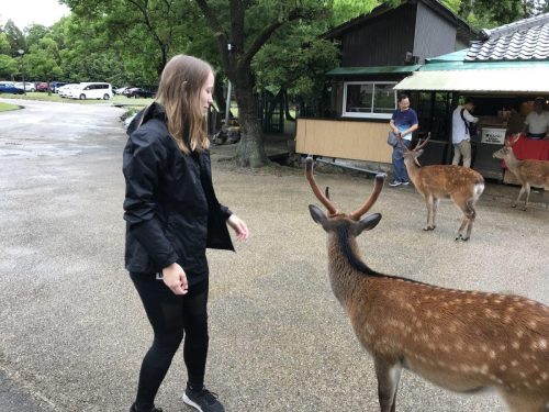 e1183da9-aa5e-4e7c-b678-bcdfe1b7d5ce