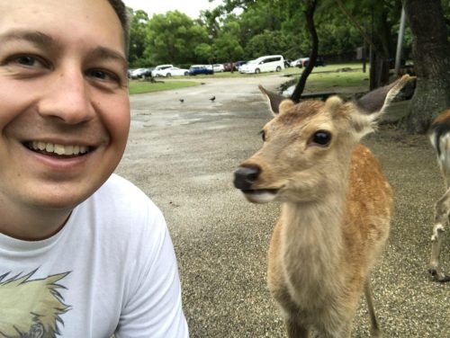 f368fcf2-0498-46e2-afcb-89f6555d3a56