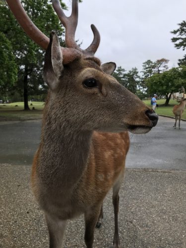 f53e1248-1ebb-4be7-8233-4cd430fd5a14