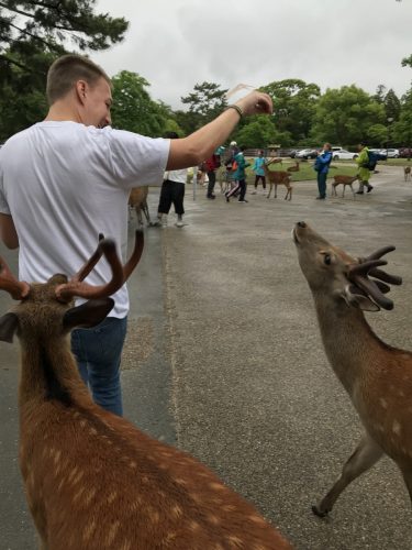 f65fb404-c1c3-481f-8540-3bad5dd49099