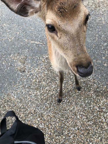 fc8970aa-6b2a-40db-885f-1cfb9d00b4a5