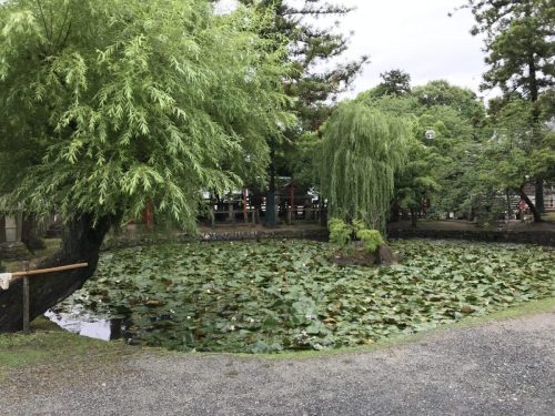 fdbbd543-59f4-4d56-86b7-6c0ee92339b5