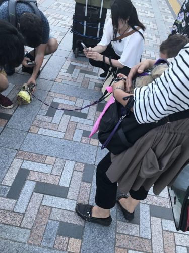 1a54cbde-199c-420b-b465-42e7ab3bb2dd