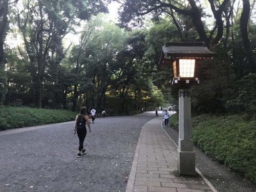 1ab585b0-363a-4029-9294-4e0e0563e52a