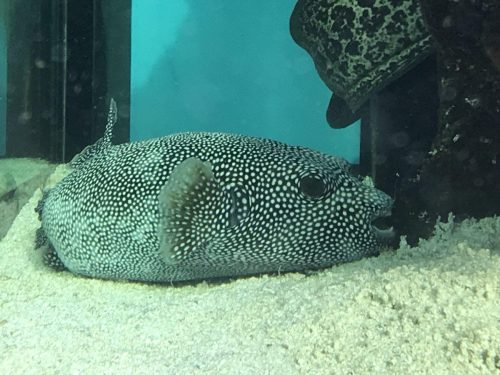 28bb409a-ae58-432a-b6a5-9f76b1e44bcb