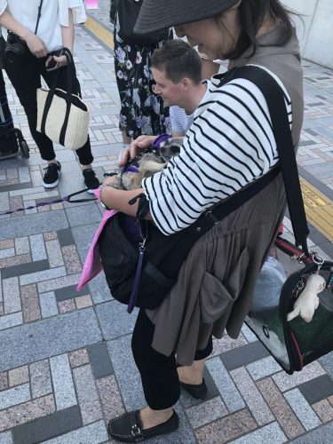 28dc8f3a-f88a-469b-85ac-207943245508