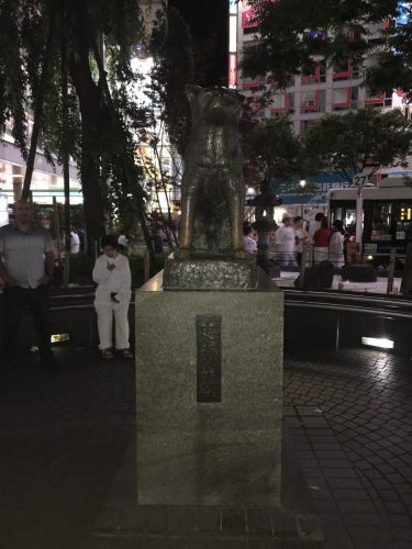 474292e9-6df8-45ce-9282-703e27b3c9cc