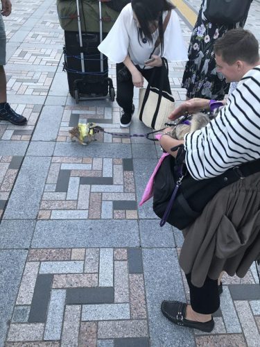 68b6be29-775b-4f92-8776-ee26b4fc600f