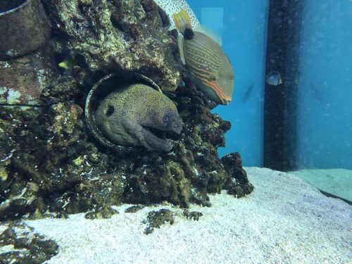 6dcaf393-b785-40ed-994d-519156a5065c