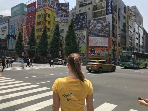 93f2d11c-ab09-4eb6-8877-d005a303c742