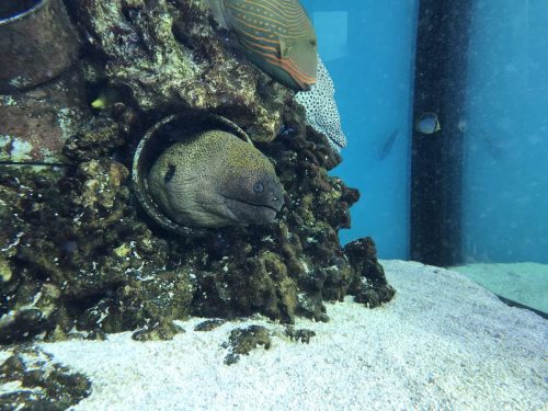 bb844365-4be6-406d-93d3-ca0358231252