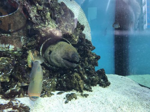 c0b24c7f-4f76-42d9-a92a-42429bd2de4f