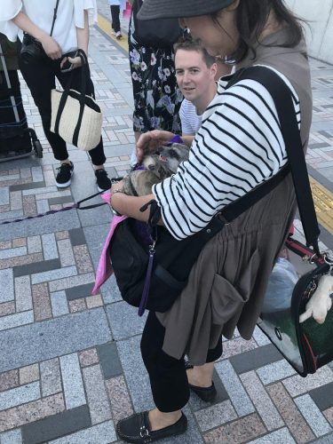 de2d7117-8c5c-4e15-afcc-49c60ac0e81c