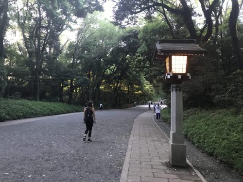 fe083d26-602b-4e88-89c5-02621675a275