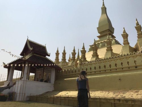 d181ae53-af21-4283-8562-8bf8b4b0c916