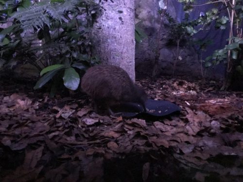 0054c127-9e72-4393-87e4-6bbd21293767