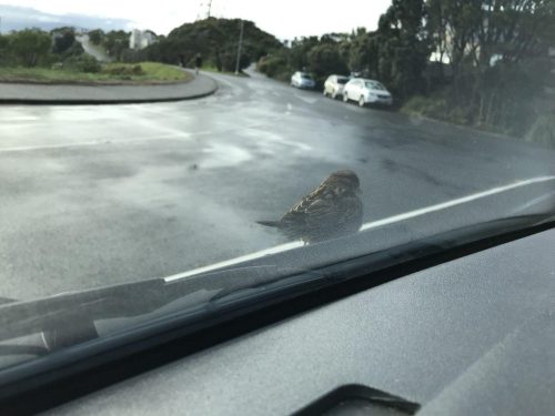 02e91629-02d1-4aa1-9f08-9164a8a98e1f