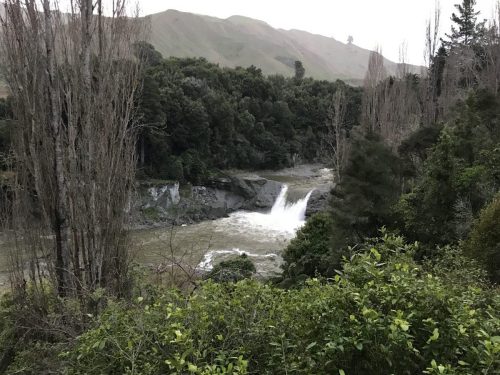 034ea68b-a9e5-4f2d-967d-03a6381b9112