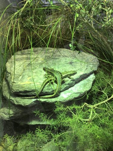 05d66c5a-ee3a-40cc-b3d5-dfc3a4451f37