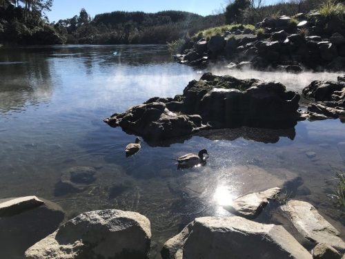 0f981c0a-4e7e-462c-bfa6-b180643c52dd