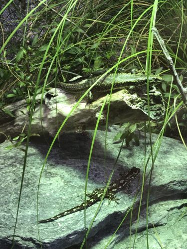 103e78f2-6db0-4840-a9da-6b4c9faf611a