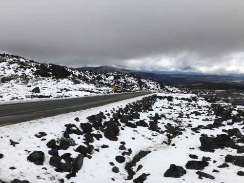 13cd39ed-7677-4292-8fc2-f5deb02902eb